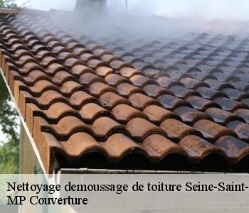 Nettoyage demoussage de toiture 93 Seine-Saint-Denis  Joseph & Michel couverture