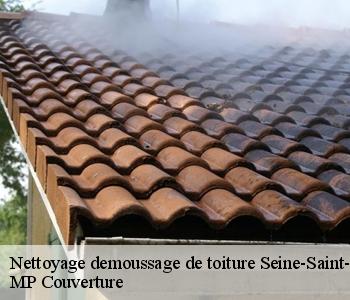 Nettoyage demoussage de toiture 93 Seine-Saint-Denis MP Couverture