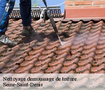 Nettoyage demoussage de toiture Seine-Saint-Denis 