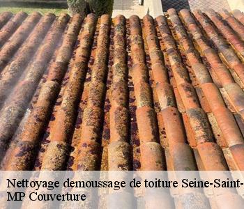 Nettoyage demoussage de toiture Seine-Saint-Denis 