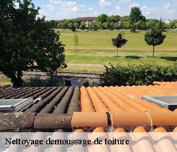 Nettoyage demoussage de toiture Seine-Saint-Denis