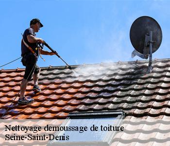 Nettoyage demoussage de toiture Seine-Saint-Denis 