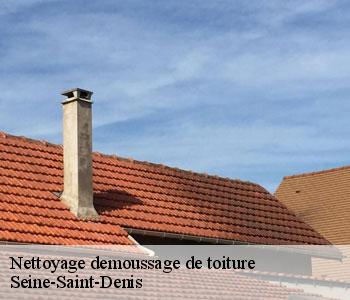 Nettoyage demoussage de toiture