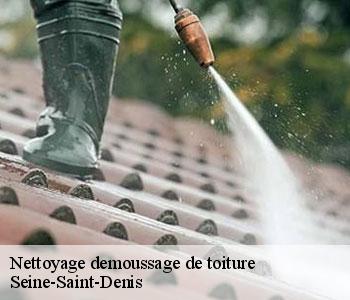 Nettoyage demoussage de toiture