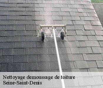 Nettoyage demoussage de toiture