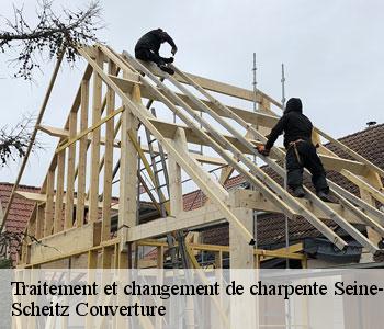 Traitement et changement de charpente