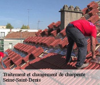 Traitement et changement de charpente