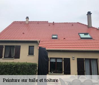Peinture sur tuile et toiture Seine-Saint-Denis