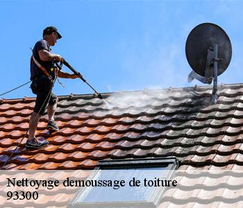 Nettoyage demoussage de toiture  93300