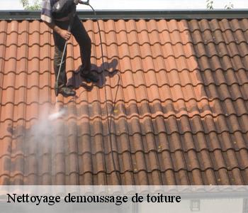 Nettoyage demoussage de toiture