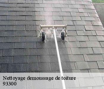 Nettoyage demoussage de toiture