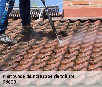 Nettoyage demoussage de toiture  93600