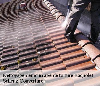 Nettoyage demoussage de toiture