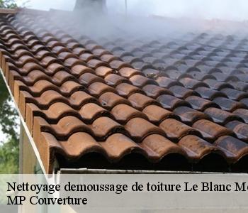 Nettoyage demoussage de toiture le-blanc-mesnil-93150 Artisan Roy