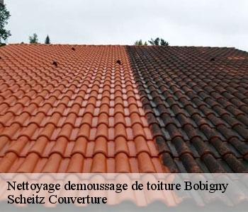 Nettoyage demoussage de toiture