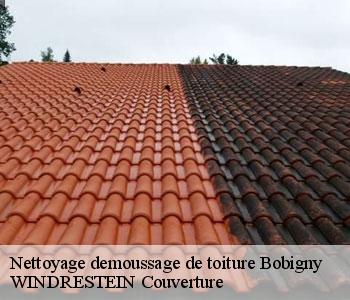 Nettoyage demoussage de toiture