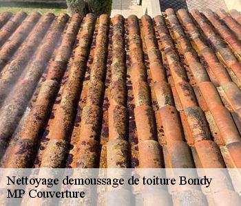 Nettoyage demoussage de toiture  93140