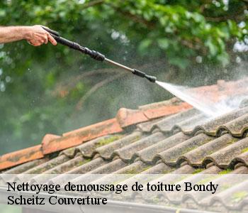Nettoyage demoussage de toiture