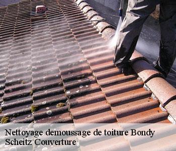 Nettoyage demoussage de toiture