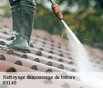 Nettoyage demoussage de toiture