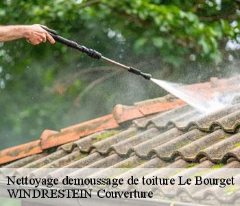 Nettoyage demoussage de toiture