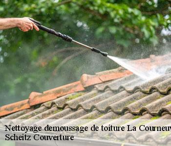 Nettoyage demoussage de toiture