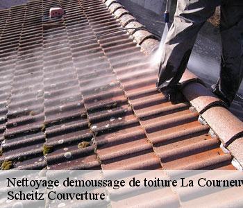 Nettoyage demoussage de toiture