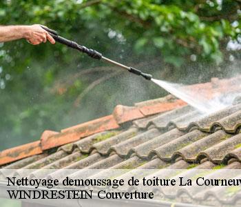 Nettoyage demoussage de toiture