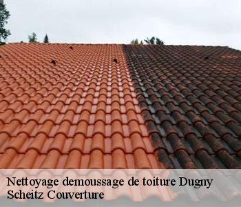 Nettoyage demoussage de toiture