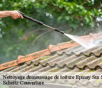 Nettoyage demoussage de toiture