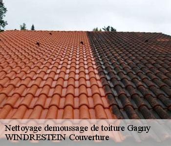 Nettoyage demoussage de toiture