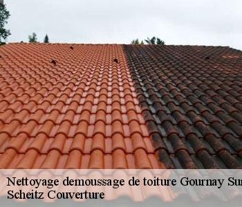 Nettoyage demoussage de toiture