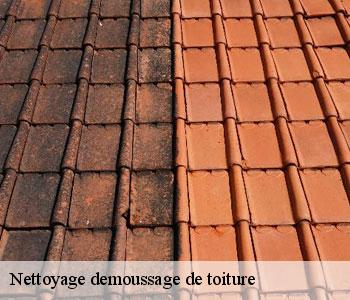 Nettoyage demoussage de toiture