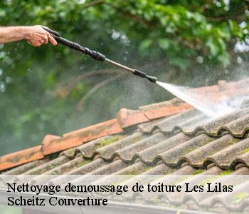 Nettoyage demoussage de toiture