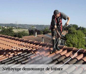 Nettoyage demoussage de toiture