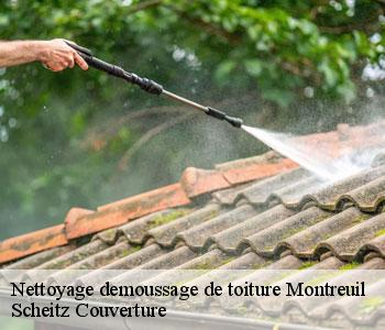 Nettoyage demoussage de toiture