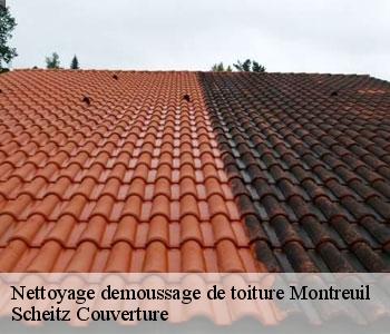 Nettoyage demoussage de toiture