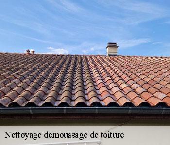 Nettoyage demoussage de toiture