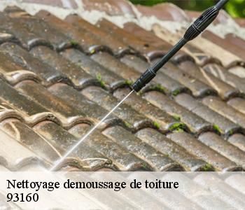 Nettoyage demoussage de toiture