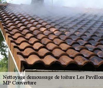 Nettoyage demoussage de toiture les-pavillons-sous-bois-93320 MP Couverture