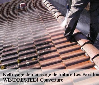 Nettoyage demoussage de toiture