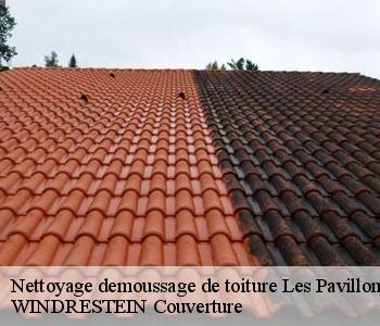 Nettoyage demoussage de toiture