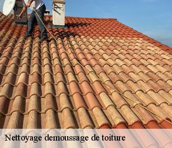 Nettoyage demoussage de toiture