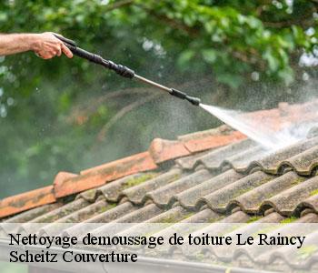 Nettoyage demoussage de toiture