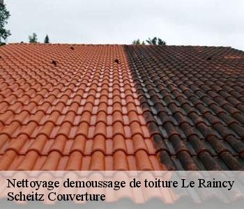 Nettoyage demoussage de toiture