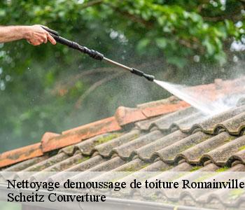 Nettoyage demoussage de toiture