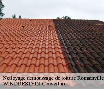 Nettoyage demoussage de toiture