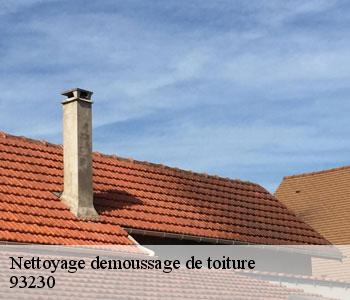 Nettoyage demoussage de toiture