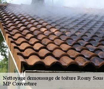 Nettoyage demoussage de toiture rosny-sous-bois-93110 MP Couverture