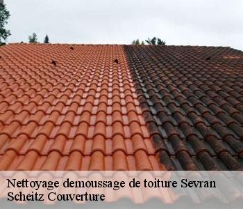 Nettoyage demoussage de toiture